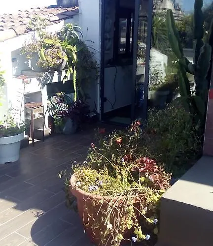 Creative Appartement *