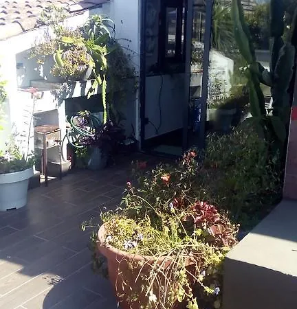 Creative Apartamento *