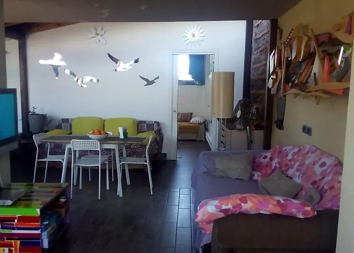 Creative * 卡塔尼亚